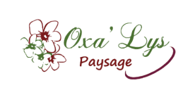 Oxa'Lys paysage