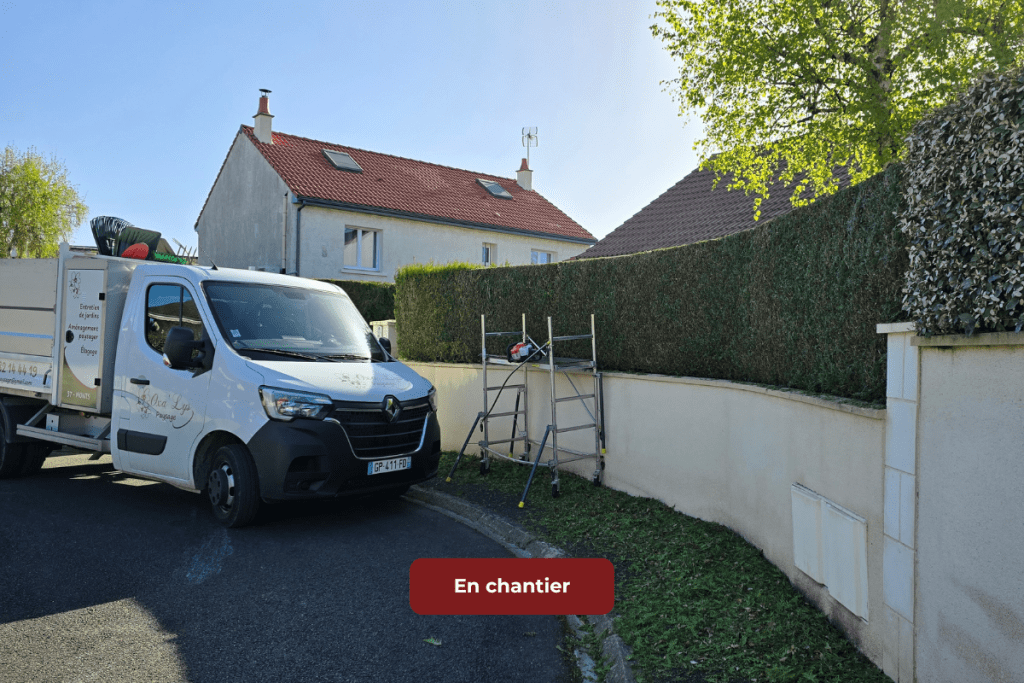 Taille de haie professionnelle pour une forme nette et un jardin bien entretenu.