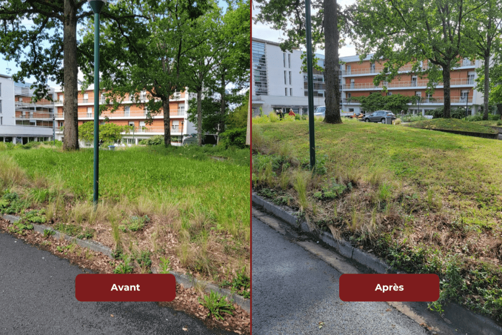 Amenagement-paysager-oxalys-paysage10