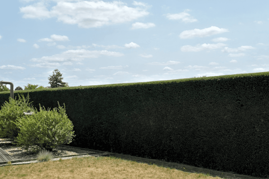 Amenagement-paysager-oxalys-paysage11