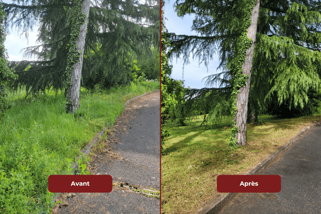 Amenagement-paysager-oxalys-paysage9