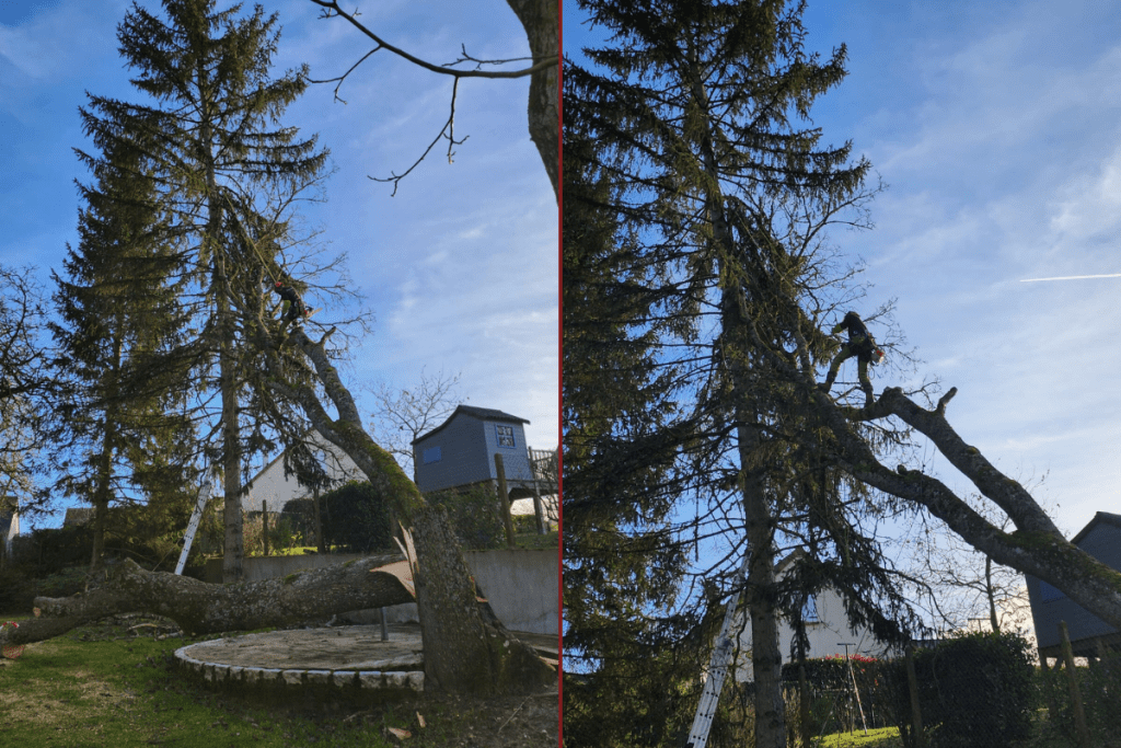 Oxa-lys-paysage-elagage8