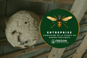 Oxa’lys Guêpes et Frelons signataire de la charte Fredon
